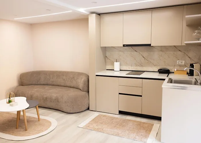 公寓 Luxury City Center Apartment - Free Parking 地拉那